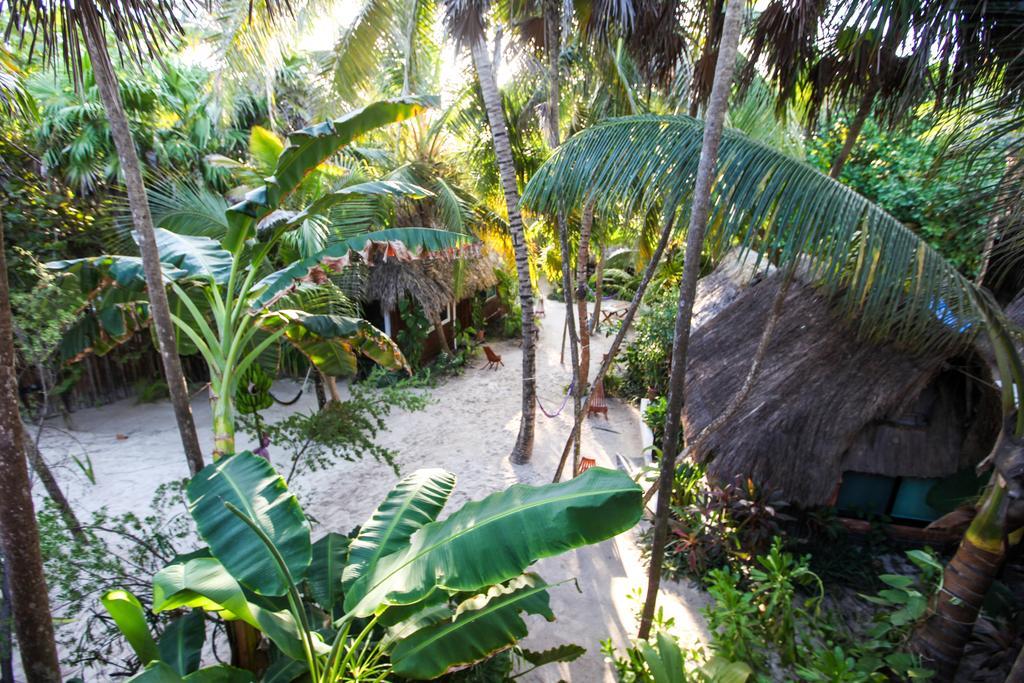 Akiin Beach Tulum Hotel Room photo